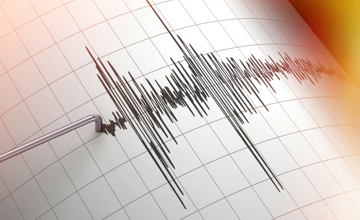 Ein ausschlagender Seismograph. (c) Pixabay.com