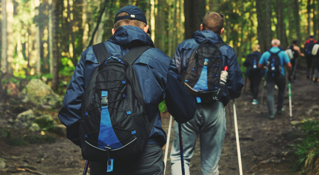 Eine Wandergruppe im Wald, Stichwort Last Exit.
(c) AdobeStock