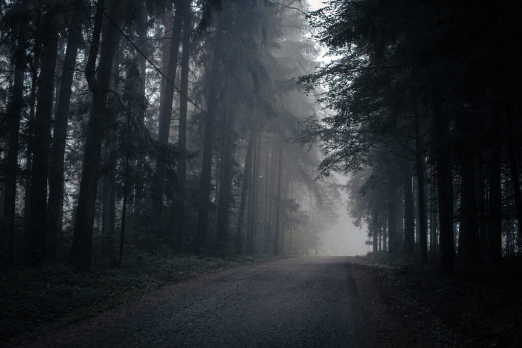 Ein düsterer Waldweg, Stichwort Gewaltenteilung.
(c) AdobeStock