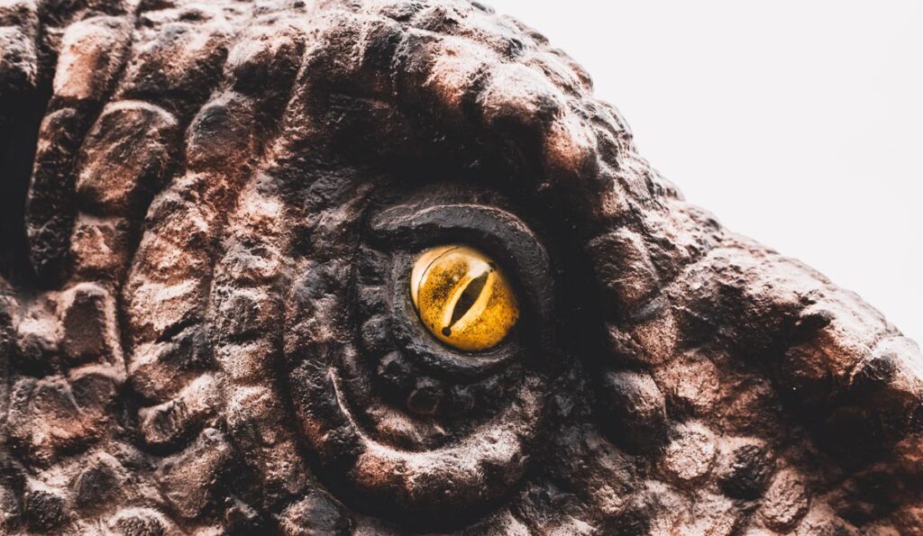 Close Up: Das Auge einer Echse, Stichwort Dinosaurier.
(c) AdobeStock